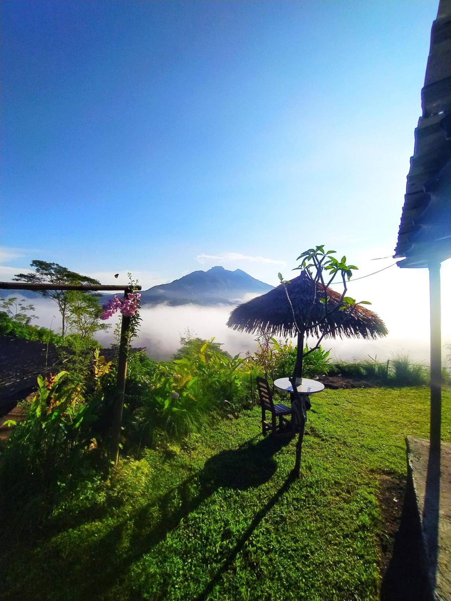 Kintamani Adventures 'Hide In Nature Lodge' Exterior photo